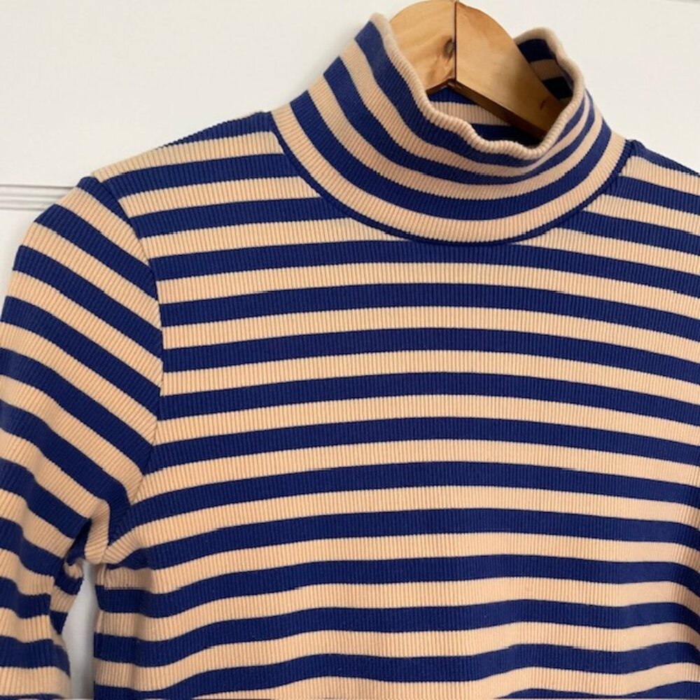 Mr. Larkin Blue and Pink Striped Ribbed Turtle Neck | Size M